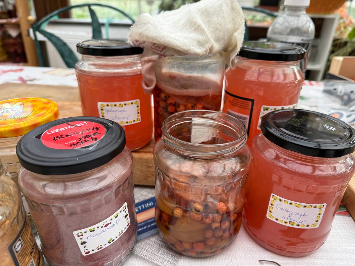 Galagonyás almaecet