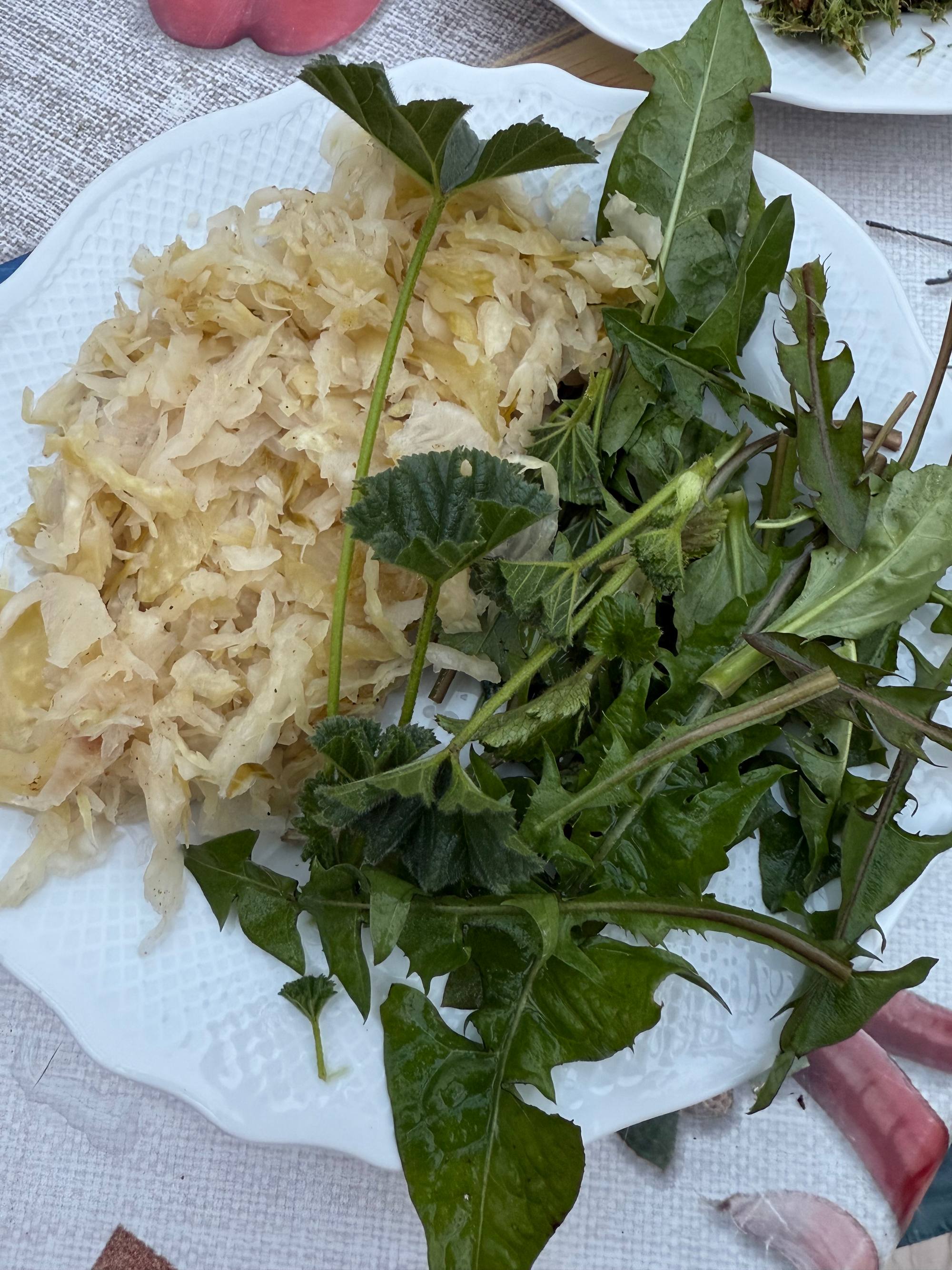 NAGYSZERŰ PÁROS: a FERMENTÁLT káposzta és a FRISS ehető vadnövények