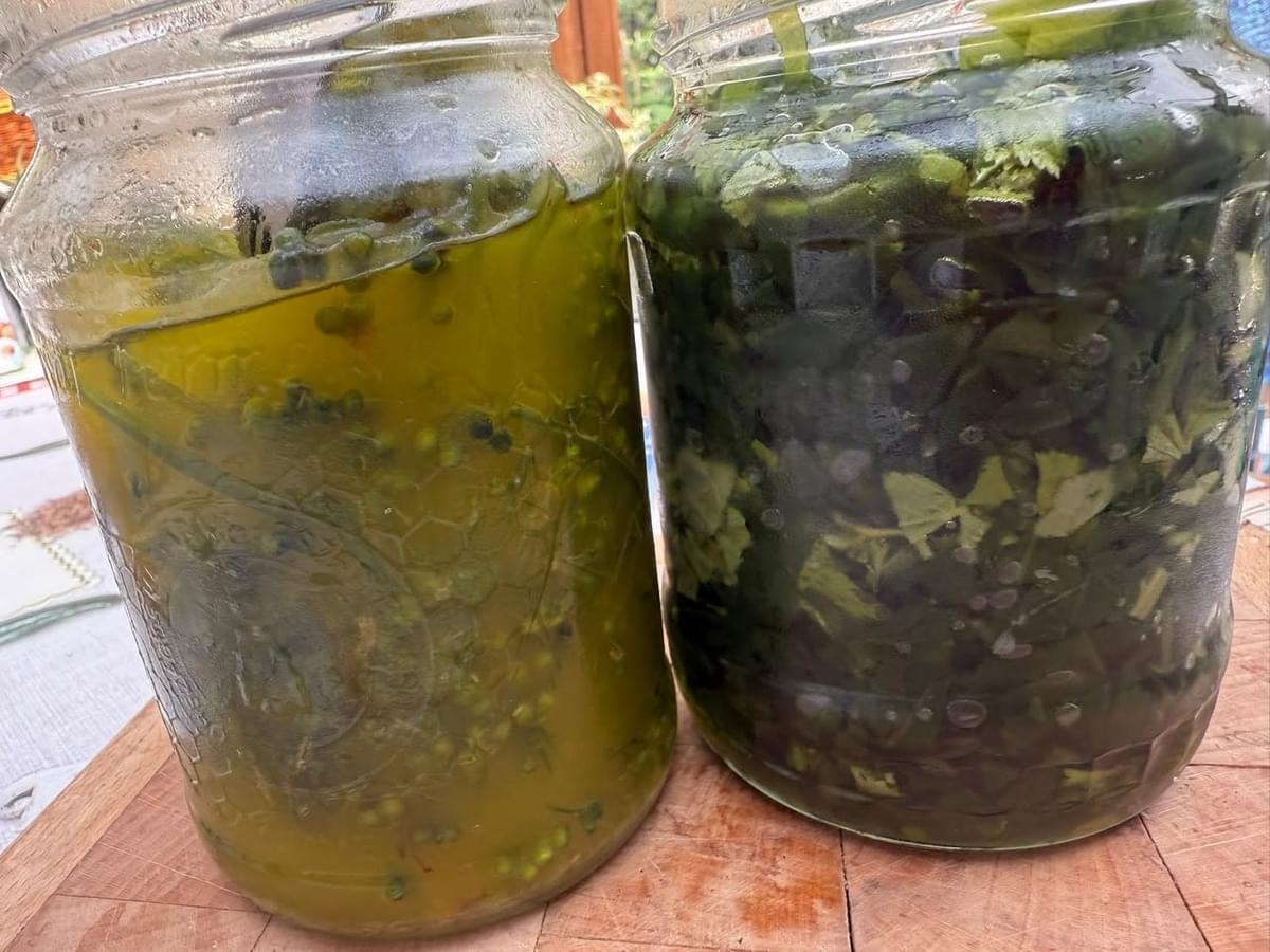 Image: https://uploads.heightsplatform.com/program/ezerfufavirag/image/69/upload/64fb6211ddb901a9978d23ee3312a1af.jpg lesson image