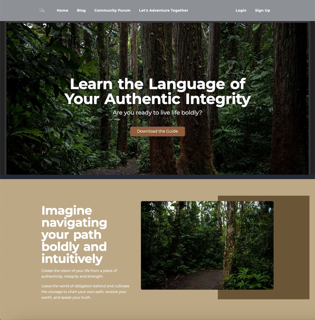 Shelly Coffman Website