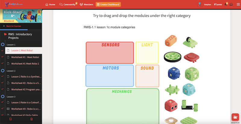 Real-life homeschooling course example