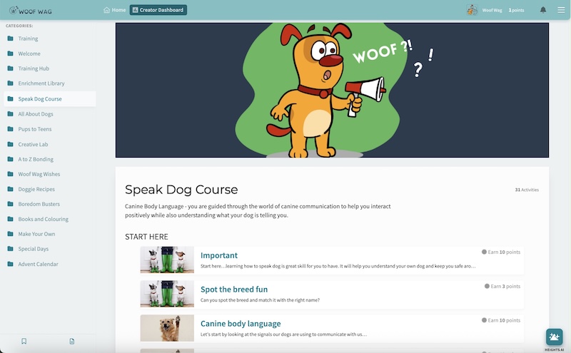 Real-life pet training course example