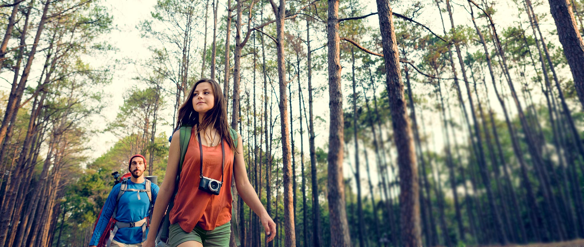 people exploring forest